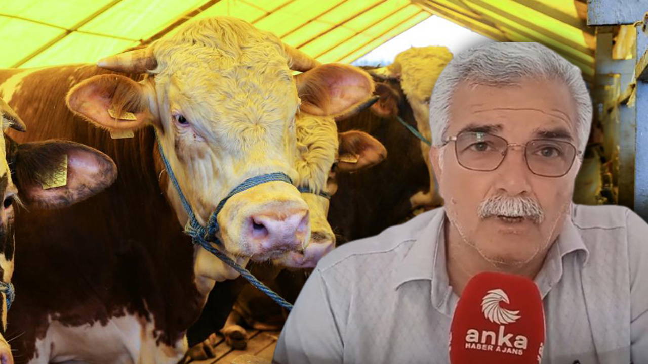 Emekli Diyanet'e isyan etti: 'Emekliye kurban düşmez desin'