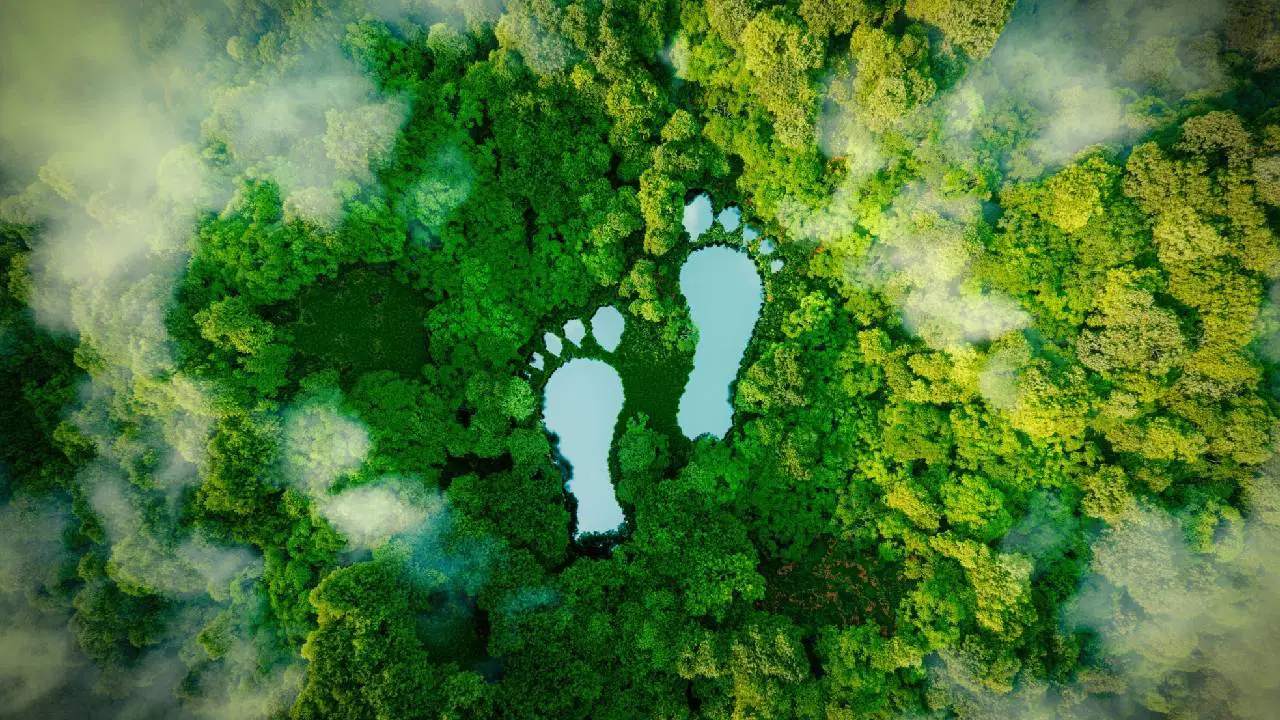 Karbon nötr bir gelecek mümkün mü?