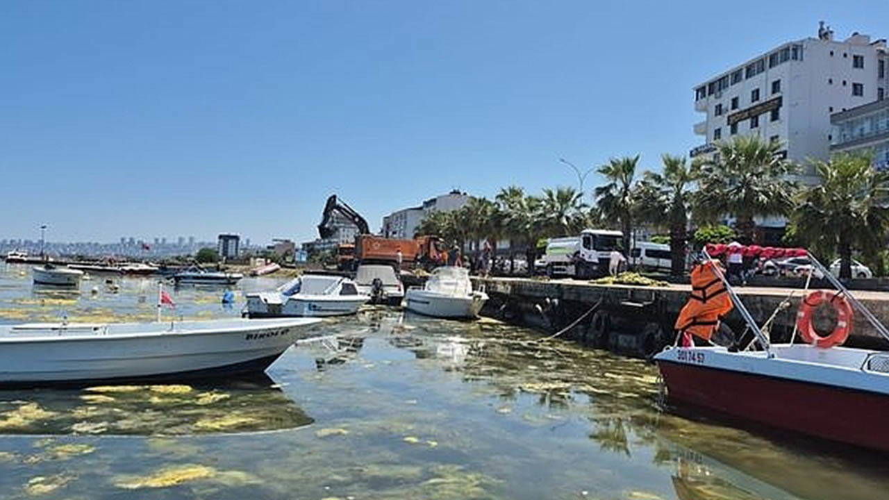Yanlış temizlik Karadeniz’i kirletiyor