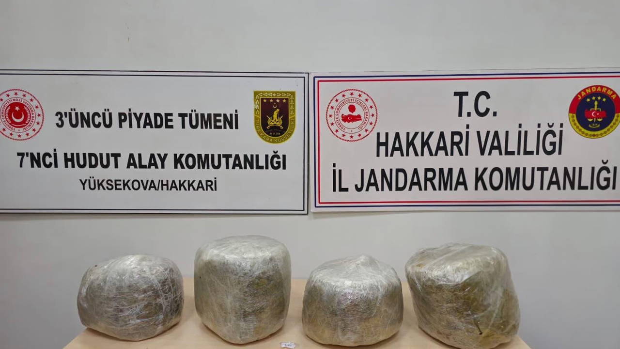 Sınırda 11 kilo skunk ele geçirildi: İran uyruklu şüpheli yakalandı