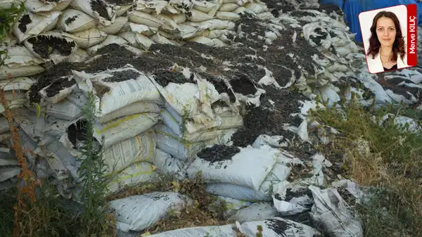 Savaştepe’de Milli Eğitim Bakanlığı'na özel üretilen yüzlerce ton kömür çürümeye terk edildi