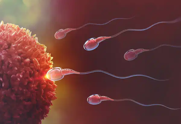 Araştırma: Sperm kalitesi yazın zirvede, kışın en düşük seviyede