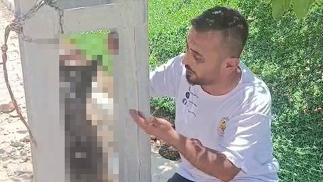 Hatay'da korkunç olay!