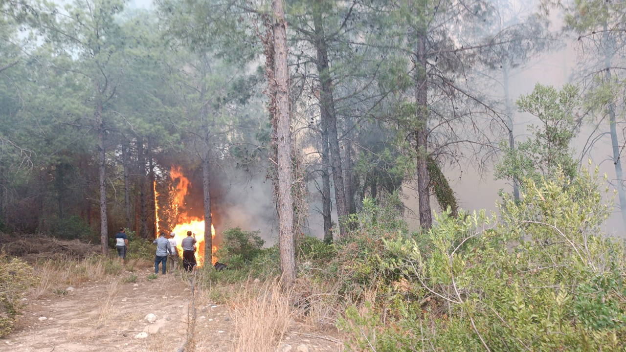 Osmaniye'de orman yangını!