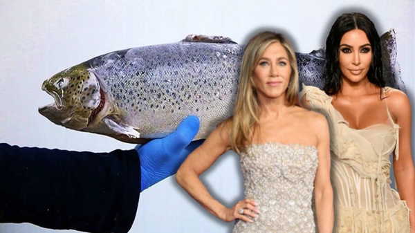 Ünlülerin yeni güzellik trendi: Balık spermi