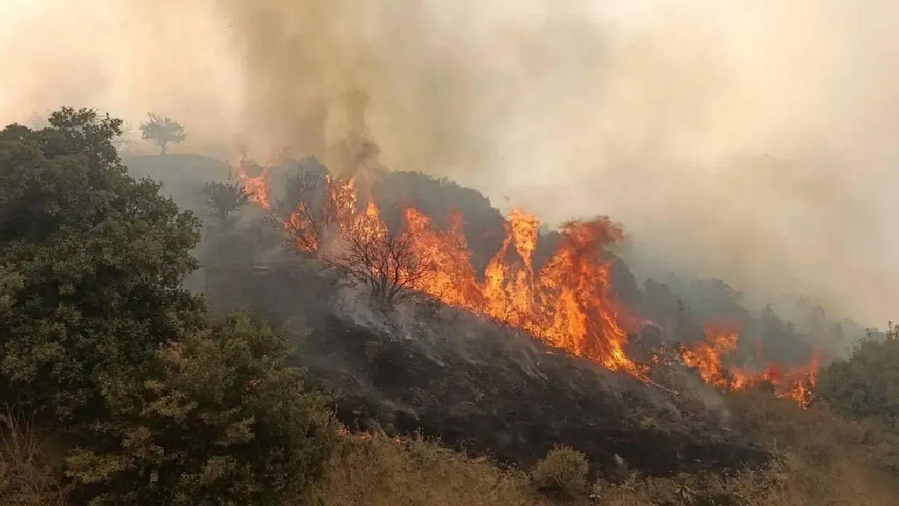 Manisa’da makilik alanda yangın: Havadan ve karadan müdahale sürüyor