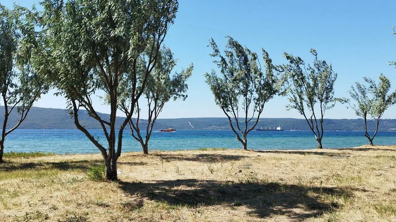 Çanakkale'de plajda mühimmat bulundu
