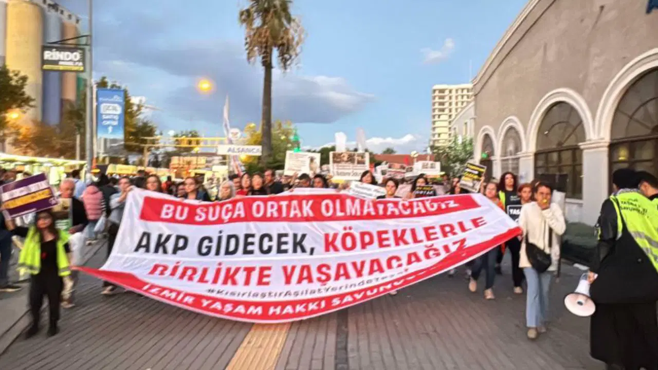 Yaşam hakkı savunucuları hayvanlara yönelik şiddeti protesto etti