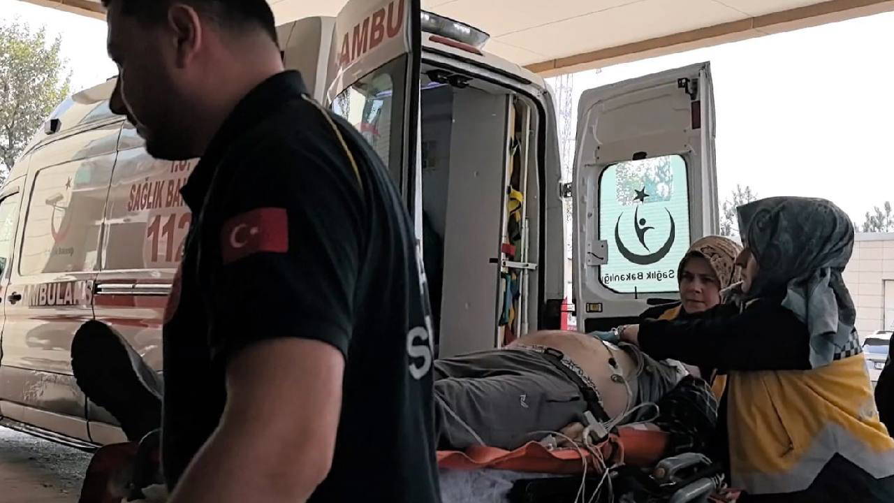 Bursa'da acı ölüm... Ağaçtan ceviz toplarken canından oldu!