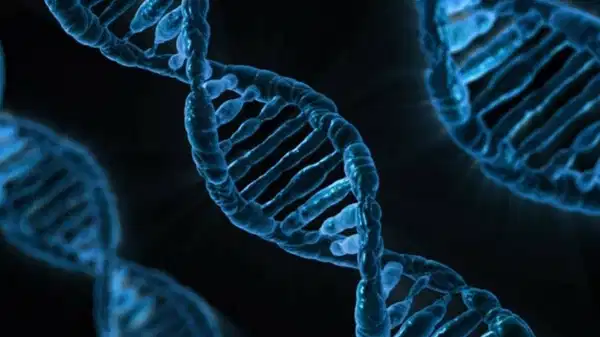 Yapay zeka modeli AlphaGenome DNA'nın bilinmeyenlerini keşfedebilir