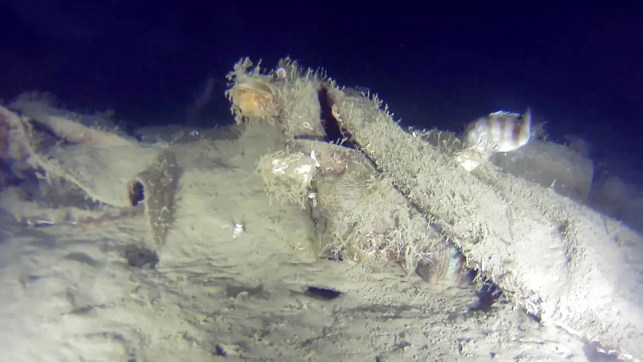 THY'nin 50 yıl önce düşen uçağının enkazından yeni parçalar bulundu