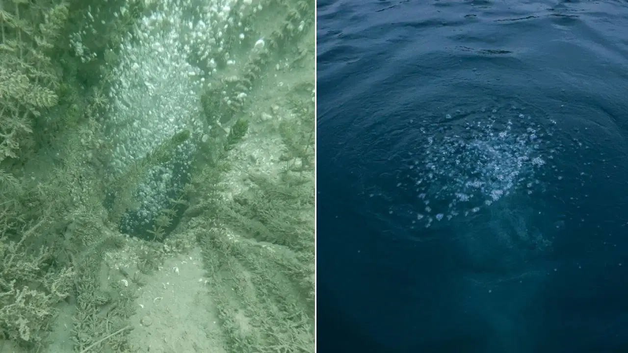 Son Dakika Haber Görseli