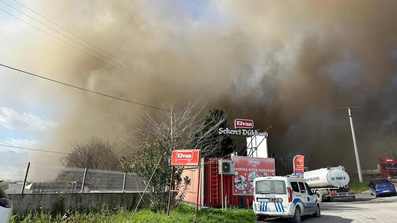 Sakarya'da şekerleme fabrikasında yangın!