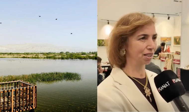 Nallıhan: Kuşların ve Oyaların Cenneti