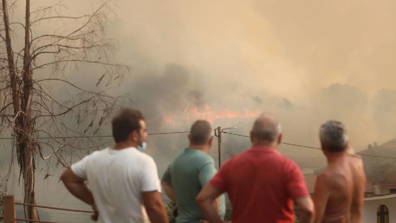 Tarım ve Orman Bakanlığı'ndan 9 ildeki yurttaşlara uyarı mesajı