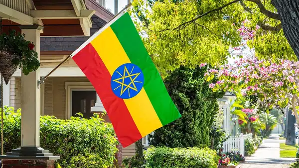 Altın rezervi en yüksek ülkeler belli oldu: Türkiye'nin listedeki yeri şaşırttı!