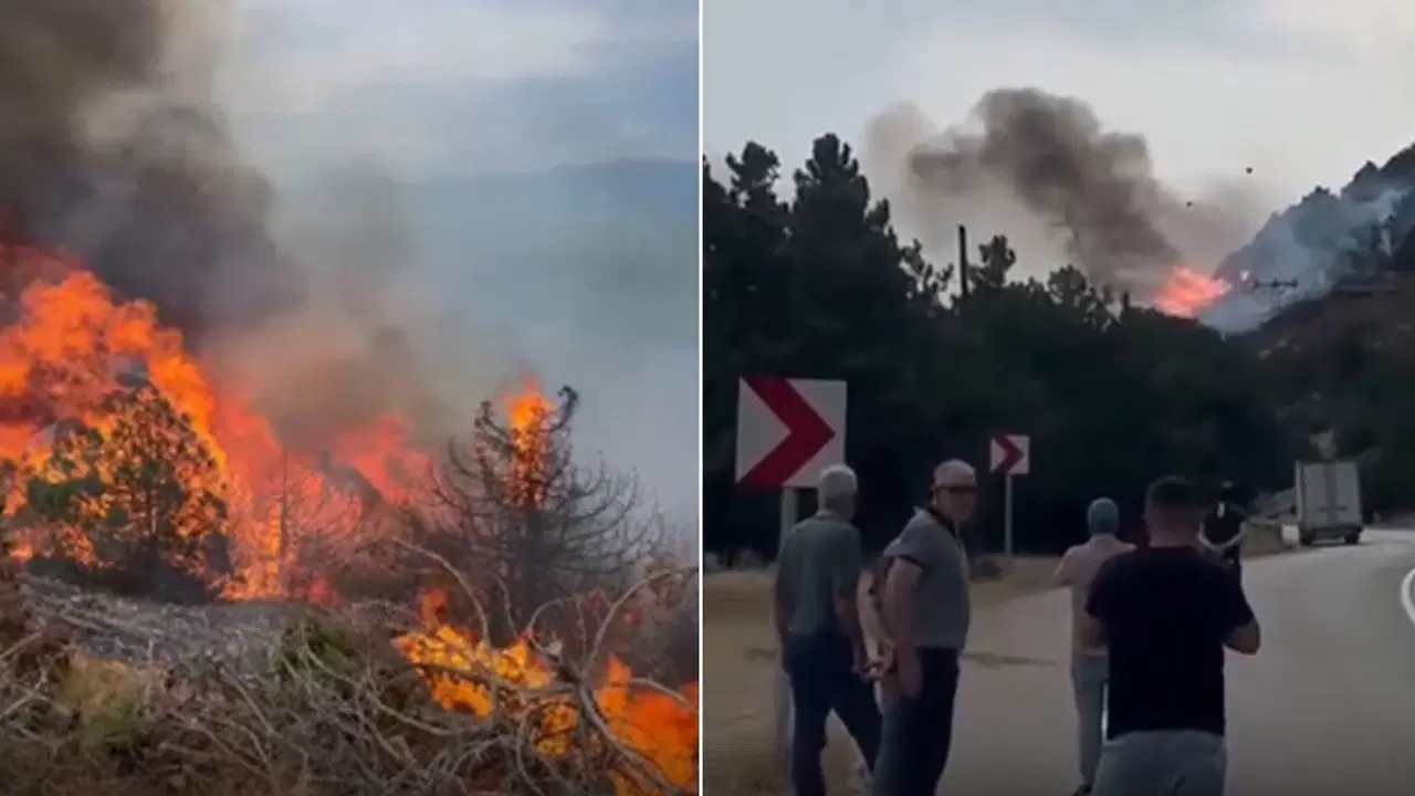 Isparta'da orman yangını: Kontrol altına alındı