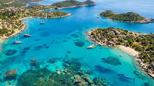 Okyanusun devleri Ege kıyılarında neden can veriyor?