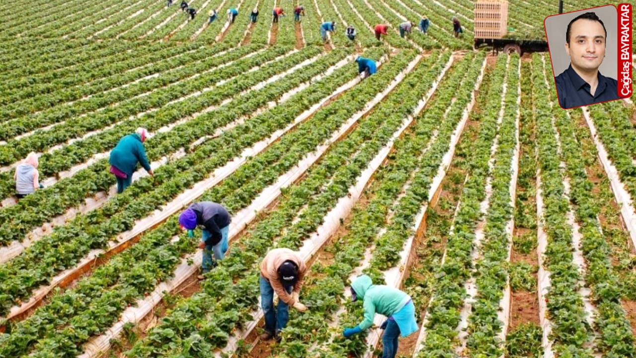 TÜSİAD-FAO raporuna göre çiftçi kurumsallık ve dijitalleşmeden uzak: Kooperatifin adı yok