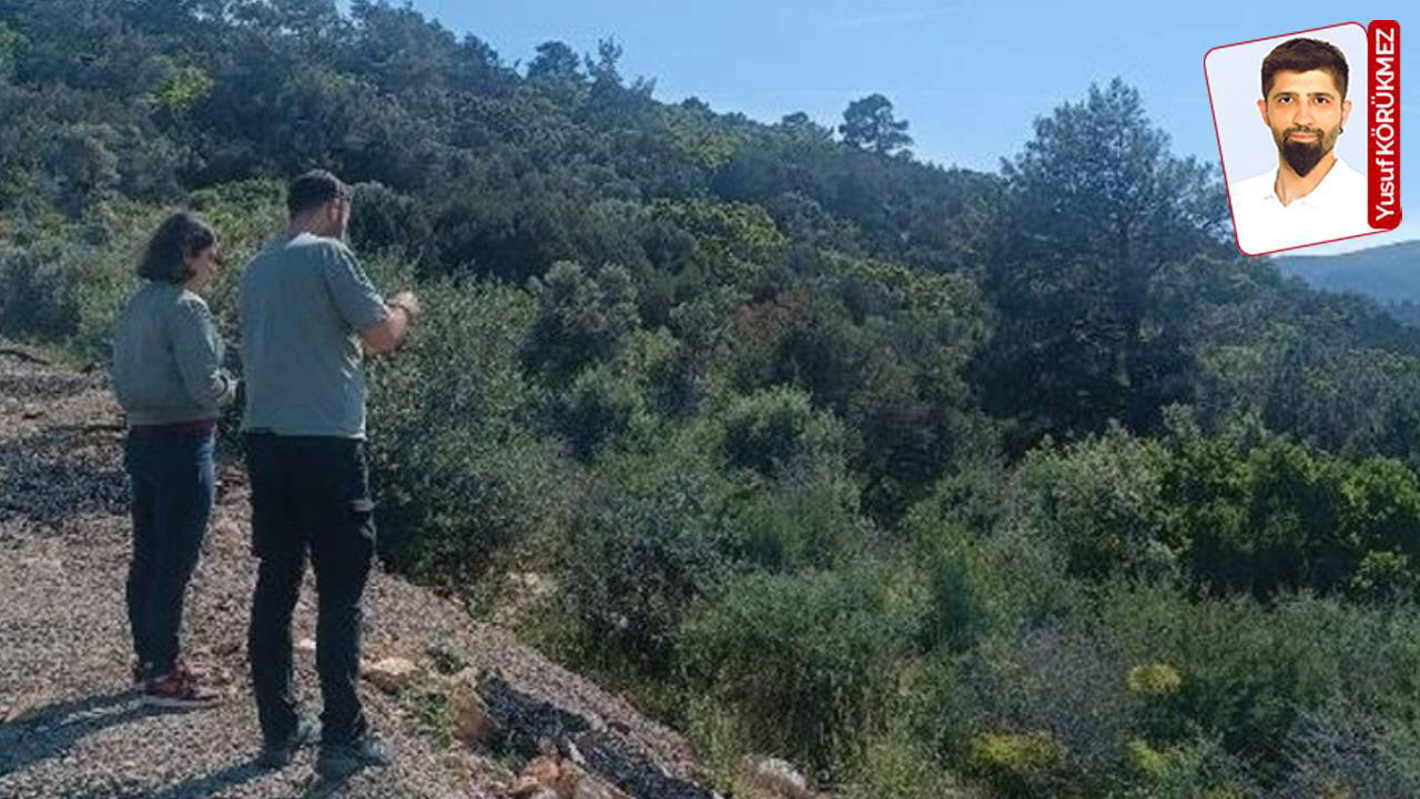 Bodrum’da orman içinde apart projesi 