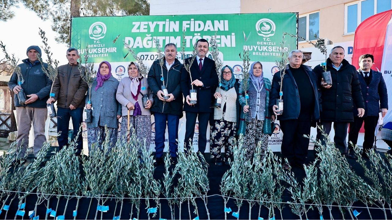 Denizli’de üreticiye 100 bin zeytin fidanı desteği