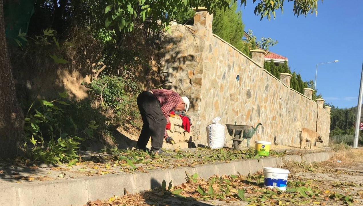 Erzincan’da zorlu hasat başladı: Kilosu 200 TL'den satılıyor...