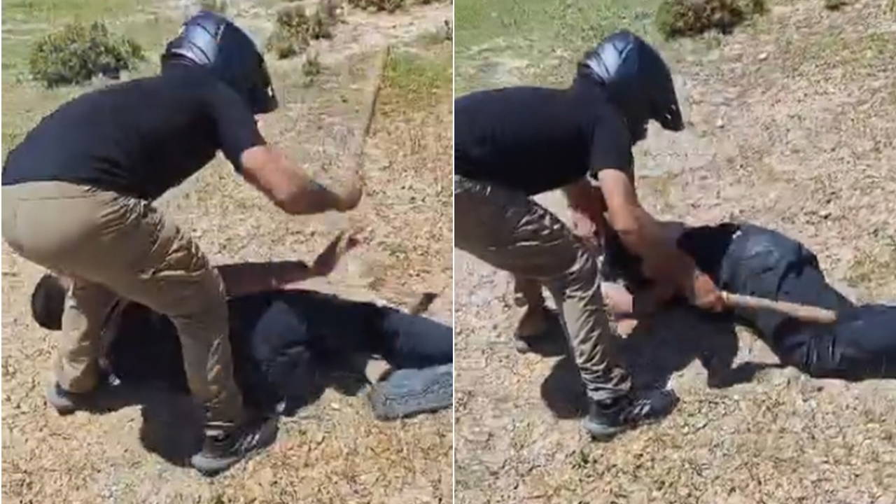 Cinsel içerikli görüntü paylaşan 2 kişi sopayla darbedildi!