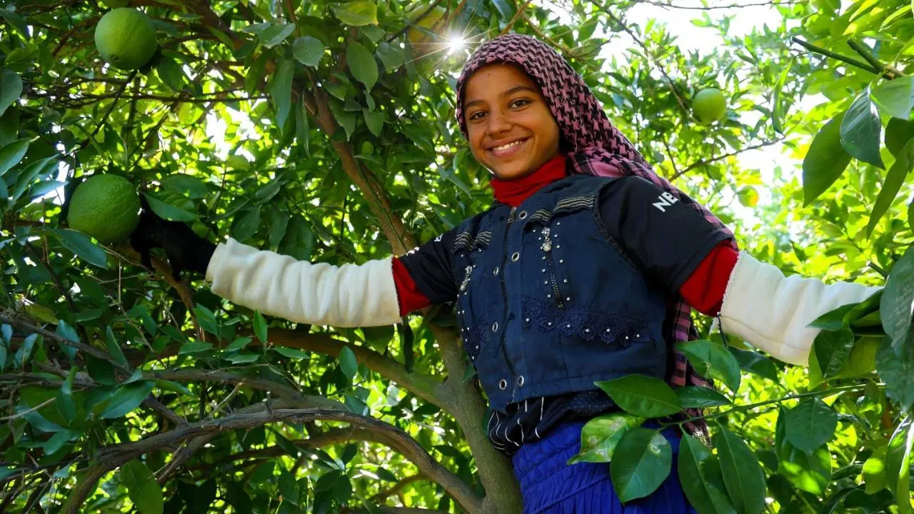 Binbir emekle toplanıyor: 'Üstü açık fabrika'
