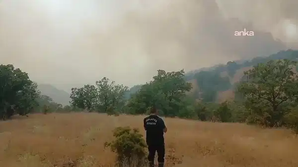 Malatya Pütürge'de orman yangını: Ekipler müdahale ediyor!