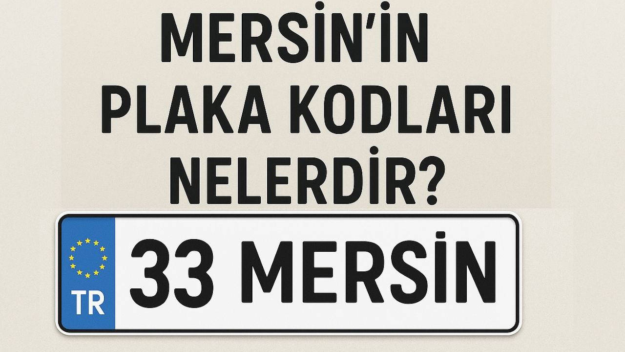 e61fc970-3492-4f09-a97f-f5a9de71b35f.jpg