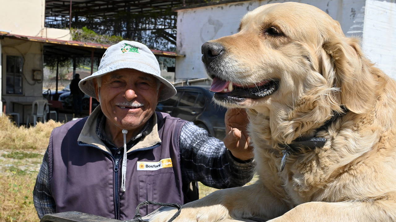 Köpek 'Betty', Abdullah dedenin yoldaşı oldu