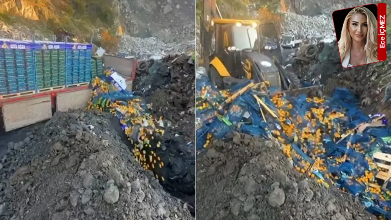 Toprak da zehirlendi: Zehirli mandalinayı toprağa gömdüler: 'Halk sağlığı böyle mi korunur?'