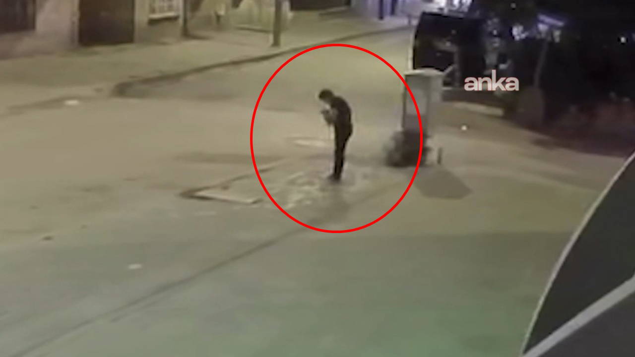 Hayvana şiddet bitmiyor: Sokak ortasında yavru kediye işkence!