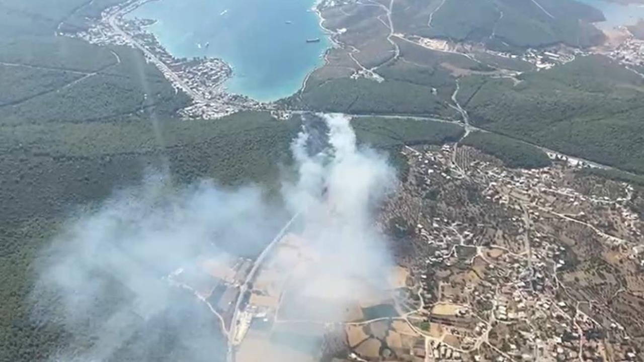 Bodrum'da orman yangını