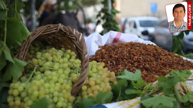 İktidar geçen yılın altında fiyat açıkladı