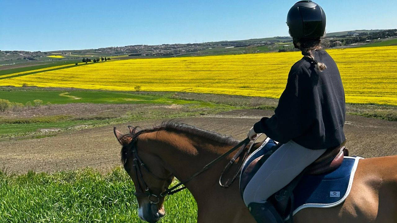 Son olduğunu bilseydim