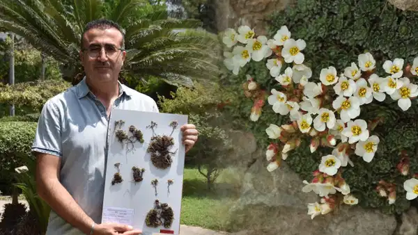 Keşfettiği bitki türüne eşinin adını verdi