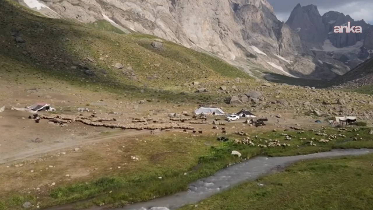 Van’da yayla ve meralar dışarıdan kiralamaya kapatıldı