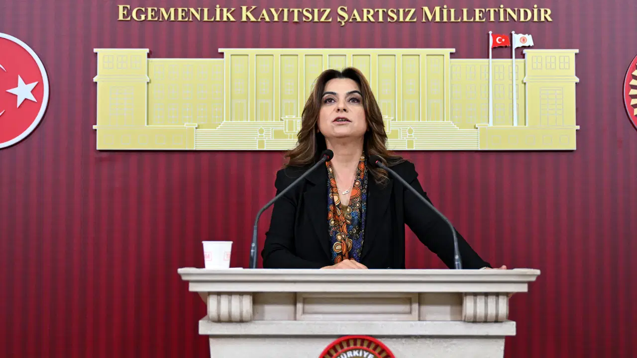 DEM Partili Koçyiğit'den '12. Yargı Paketi' eleştirisi: 'Toplumun beklentilerine yanıt veren bir paket değildir'