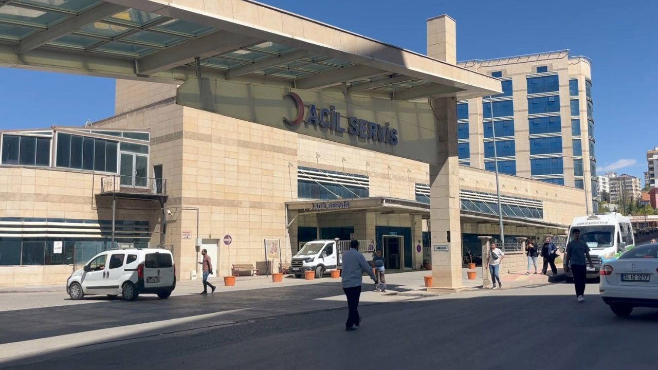 Ceviz toplarken ağaçtan düşüp öldü