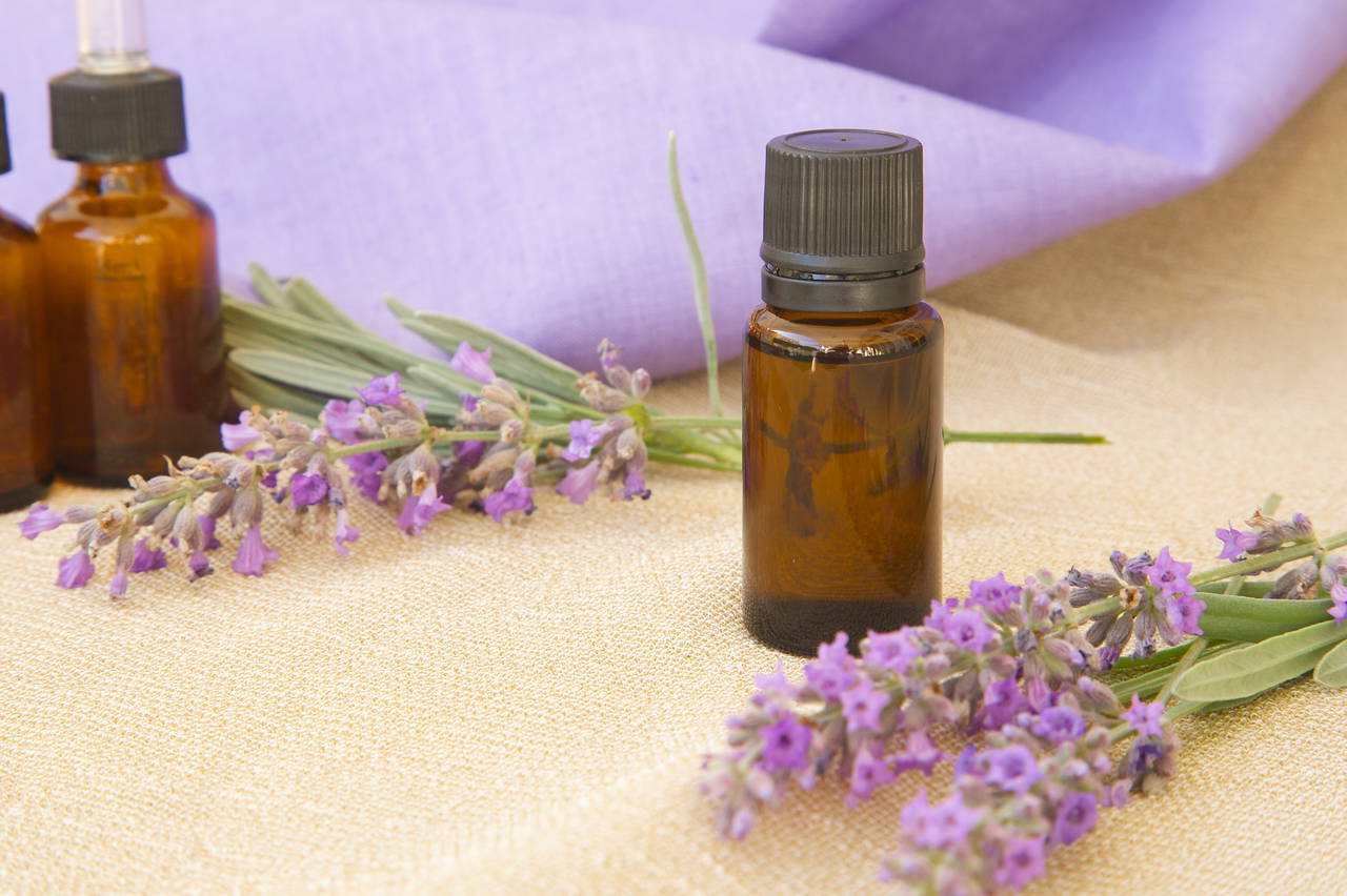 Kimyasal kullanmadan yaz akşamlarını kaşıntısız geçirin: Sivrisineklerden kurtulmanın 7 doğal yolu 