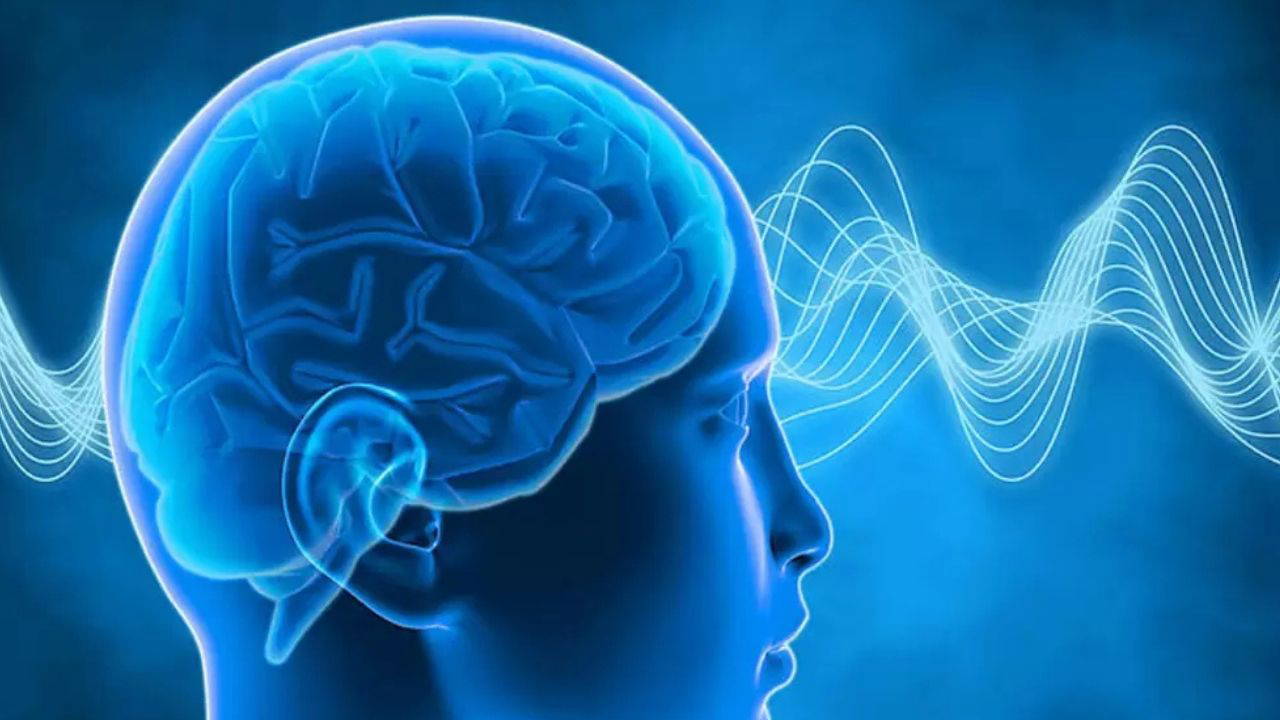 Araştırma: Sporcu Takviyesi Alzheimer Hastaları İçin Umut Oldu