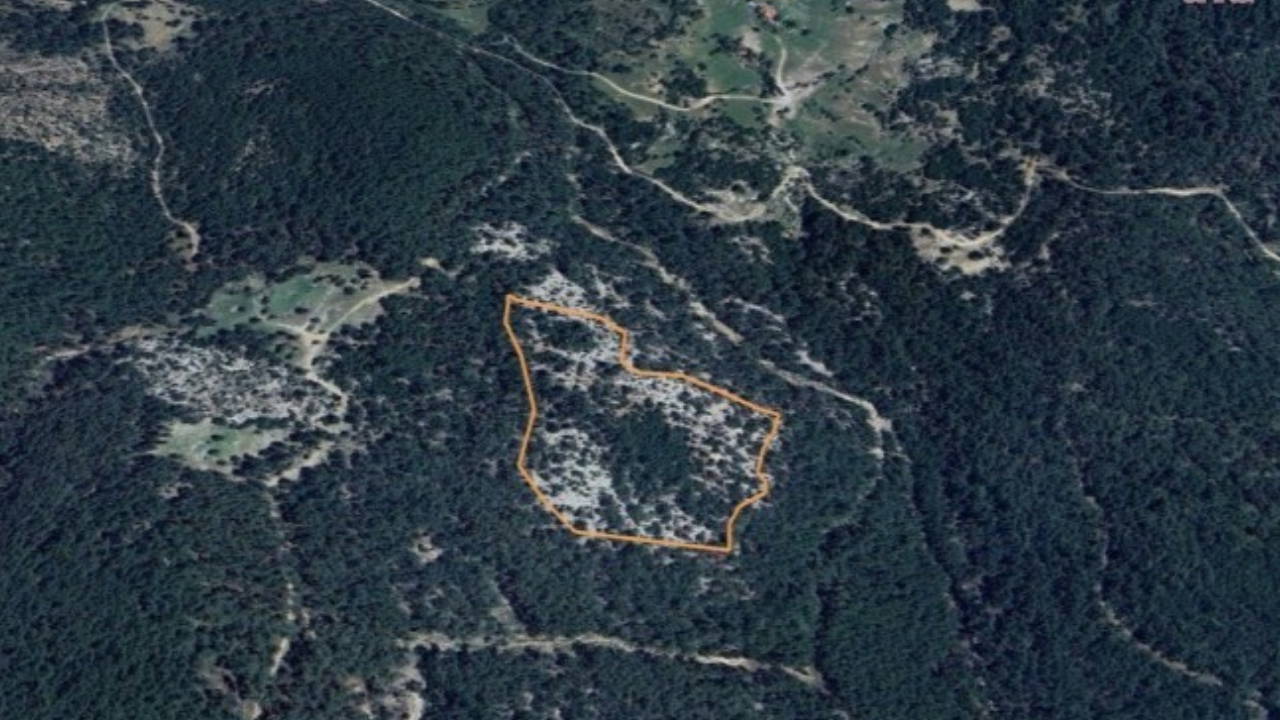 Ormanlık alana maden ocağı projesine 'ÇED olumlu' kararı