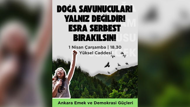 Tutuklanan Esra Işık için çağrı: 