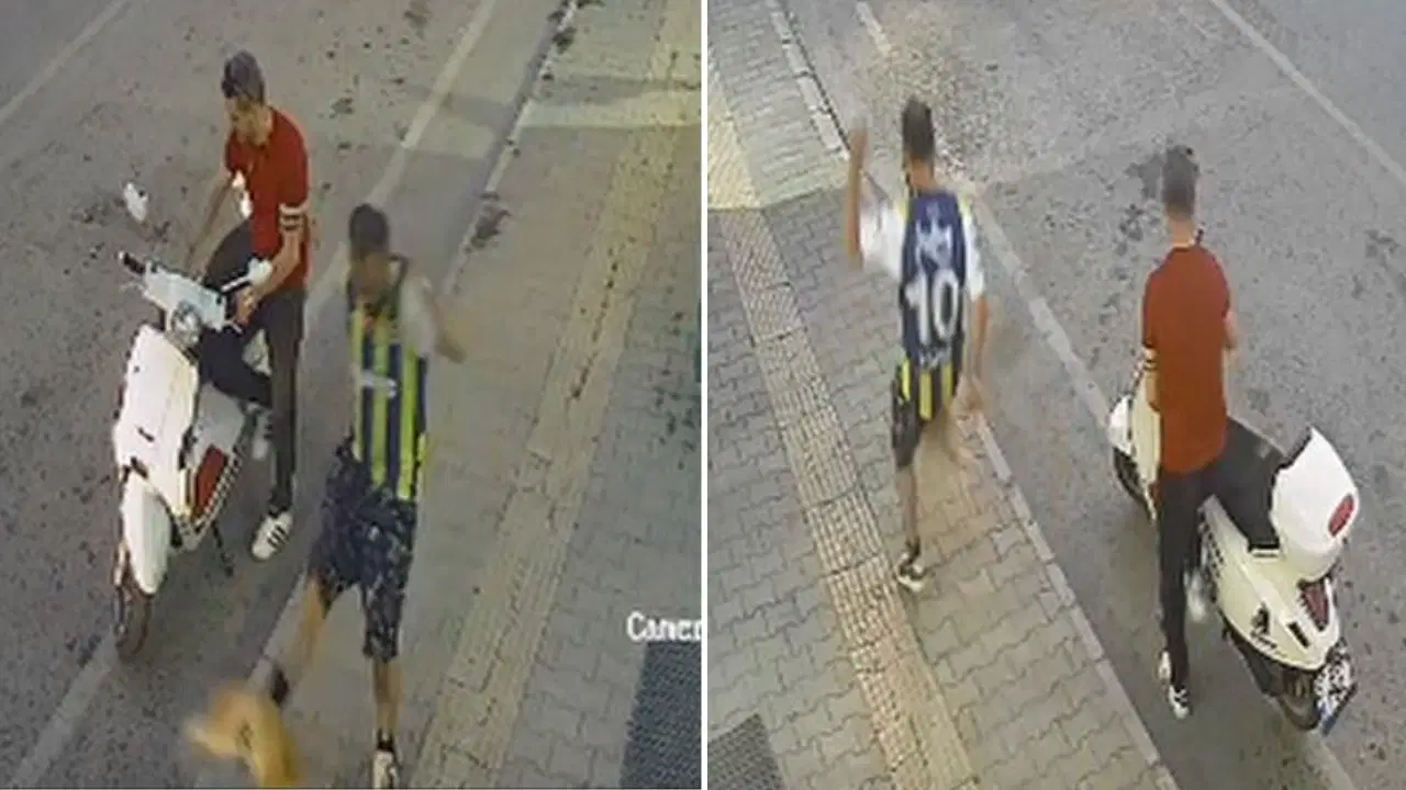 Samsun'da kediye tekme atan şüpheli yakalandı