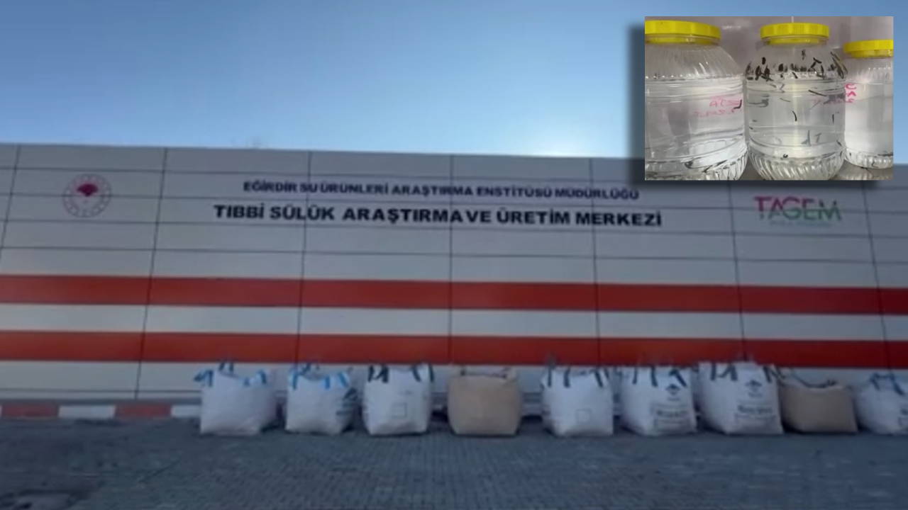 Türkiye'de bir ilk: Kamu enstitüsü sülük üretiyor