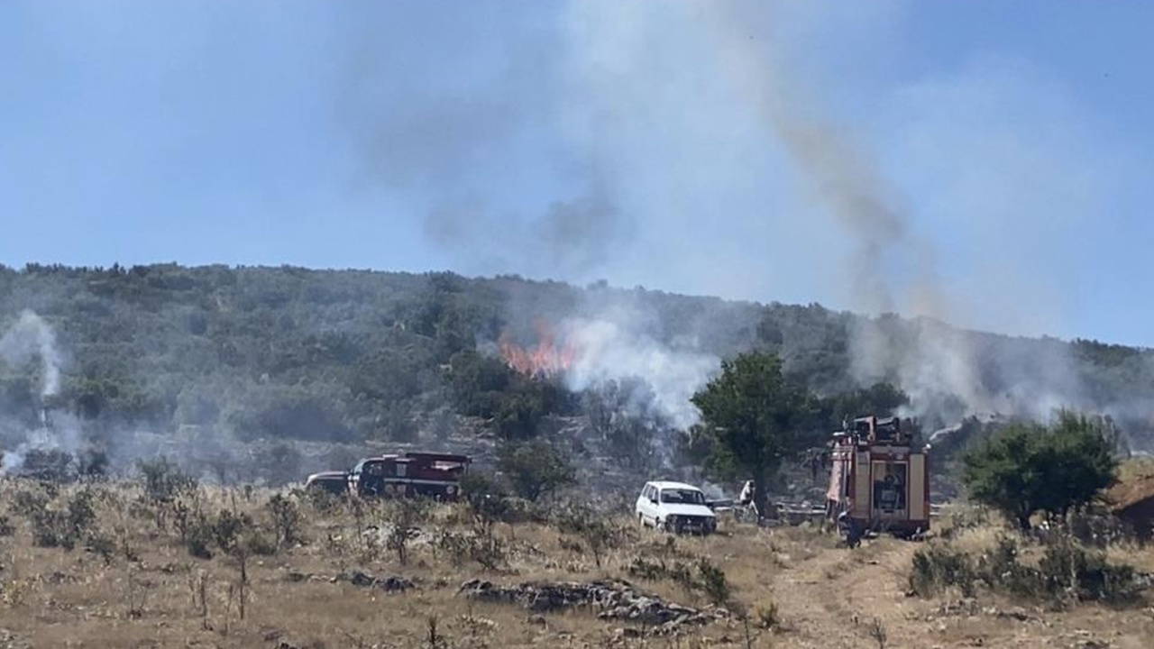 Arıcının tütsüsü ormanı yaktı
