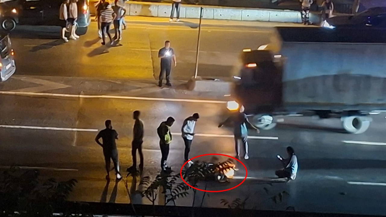 Karayolunda feci ölüm: 2 aracın birden çarptığı kadın hayatını kaybetti