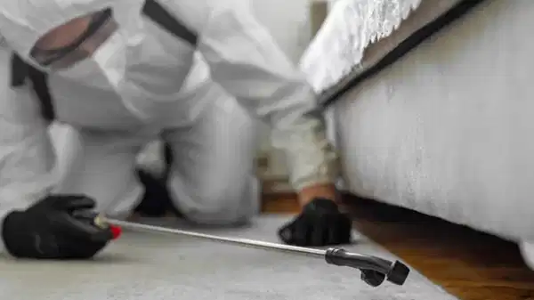 Son Dakika Haber Görseli