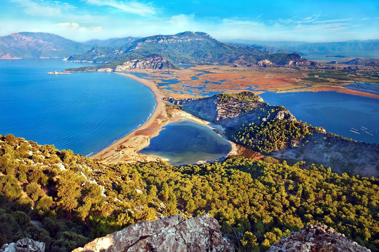 2025'in ilk caretta caretta yavruları denizle buluştu